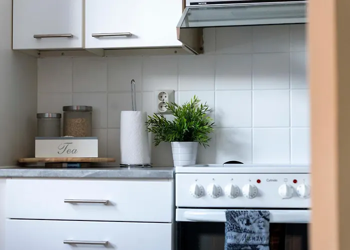 公寓 And Cozy By The Train Station With Free Parking 瓦萨